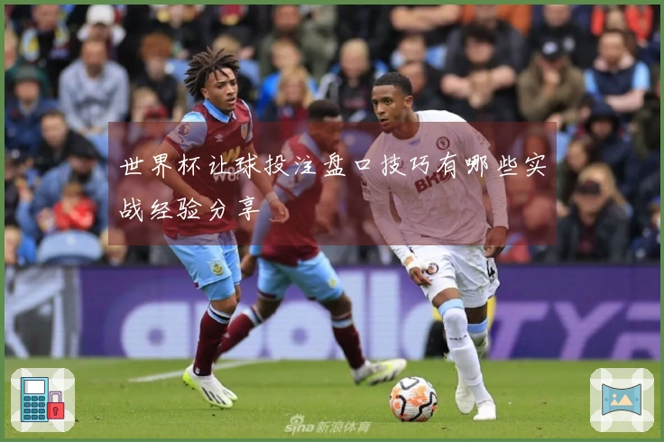 世界杯让球投注盘口技巧有哪些实战经验分享