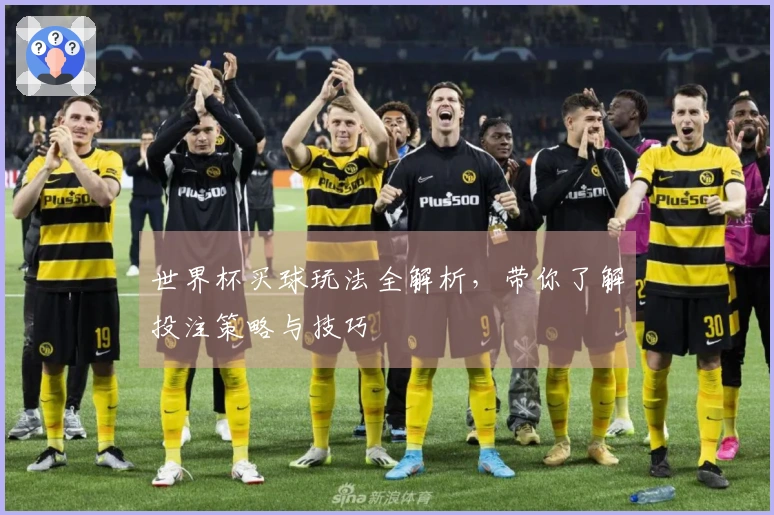 世界杯买球玩法全解析，带你了解投注策略与技巧
