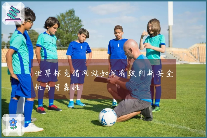 世界杯竞猜网站如何有效判断安全性与可靠性