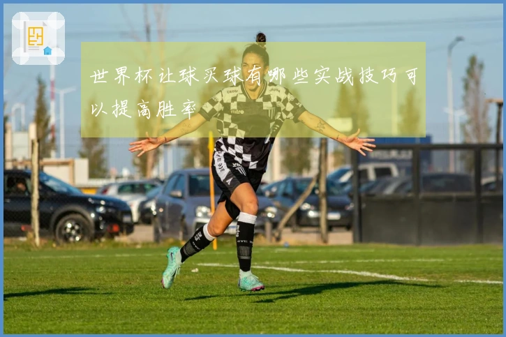 世界杯让球买球有哪些实战技巧可以提高胜率