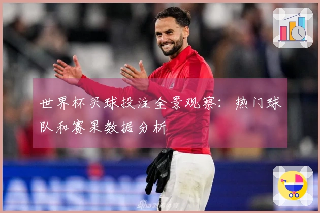 世界杯买球投注全景观察：热门球队和赛果数据分析