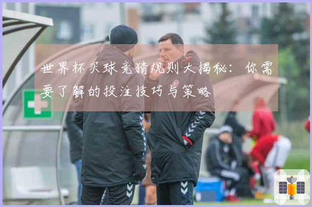 世界杯买球竞猜规则大揭秘：你需要了解的投注技巧与策略