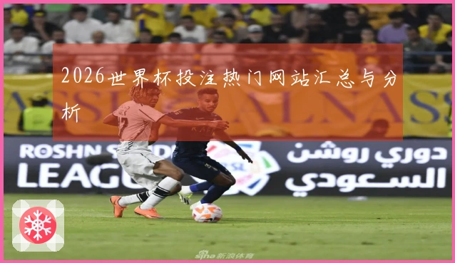 2026世界杯投注热门网站汇总与分析
