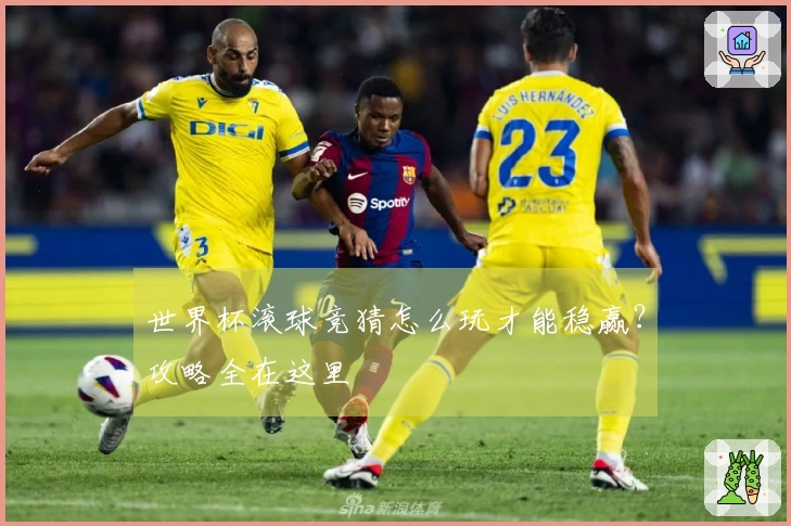 世界杯滚球竞猜怎么玩才能稳赢？攻略全在这里