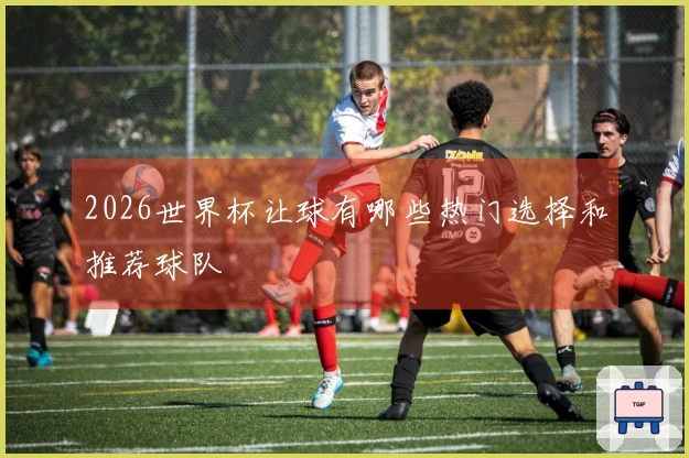 2026世界杯让球有哪些热门选择和推荐球队