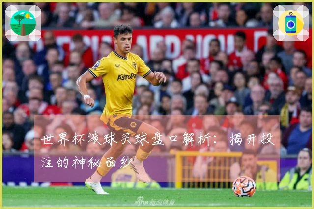 世界杯滚球买球盘口解析：揭开投注的神秘面纱
