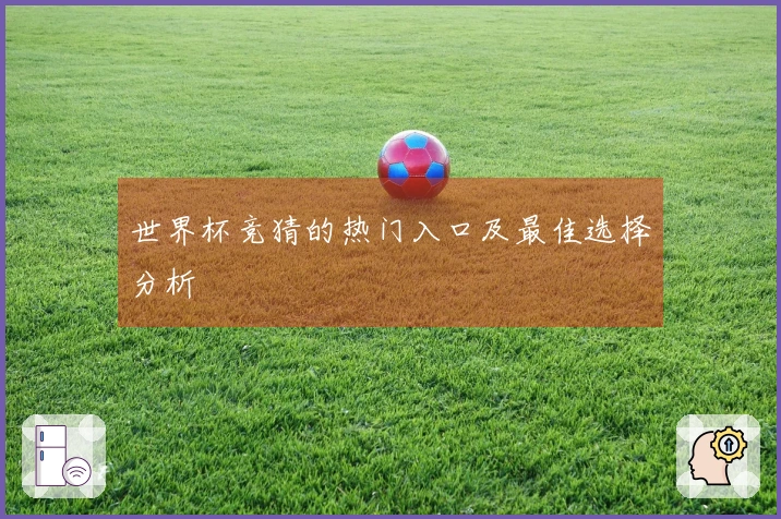世界杯竞猜的热门入口及最佳选择分析