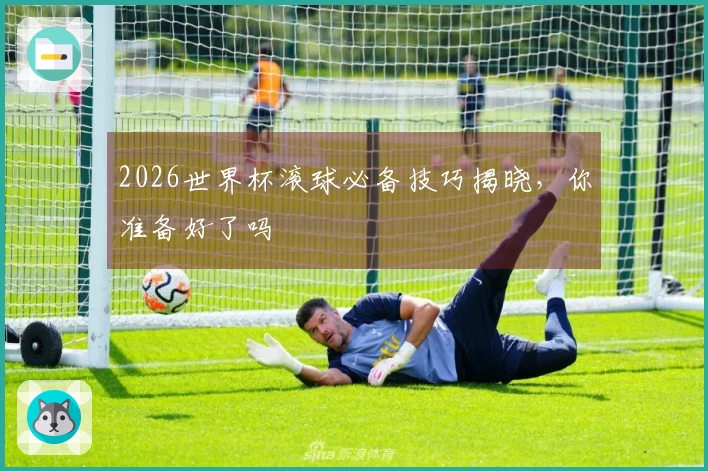 2026世界杯滚球必备技巧揭晓，你准备好了吗