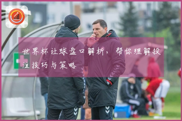 世界杯让球盘口解析，帮你理解投注技巧与策略