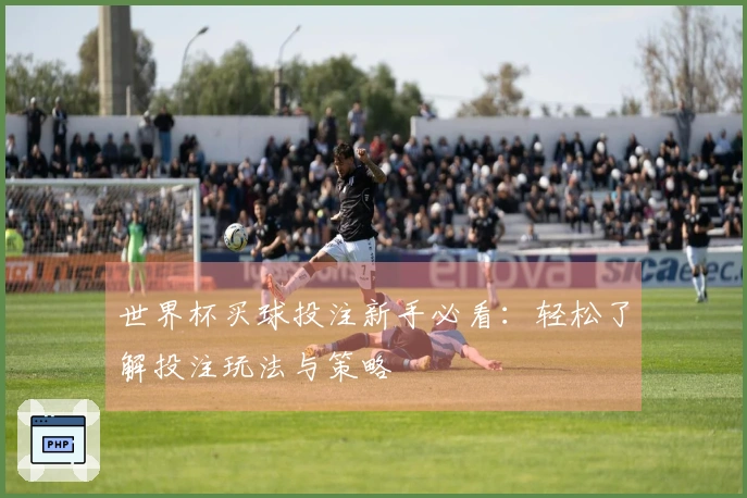 世界杯买球投注新手必看：轻松了解投注玩法与策略