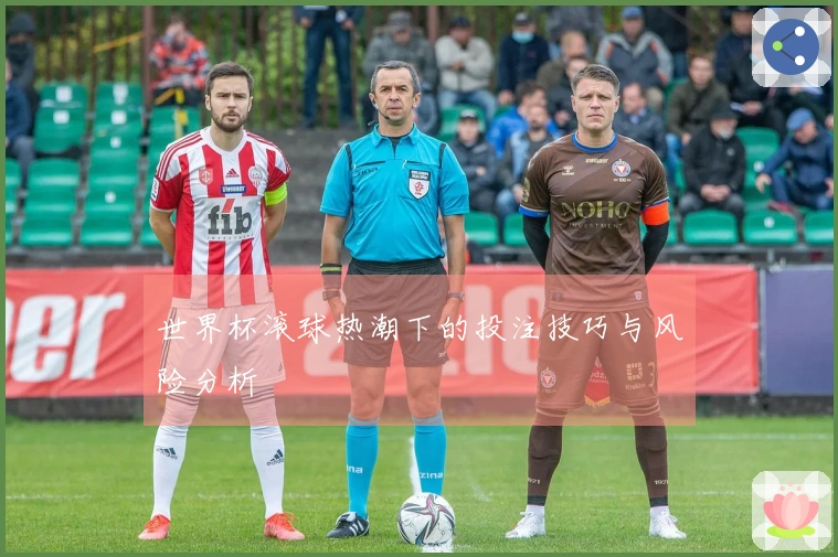 世界杯滚球热潮下的投注技巧与风险分析