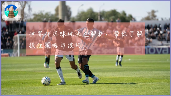 世界杯买球玩法全解析，带你了解投注策略与技巧