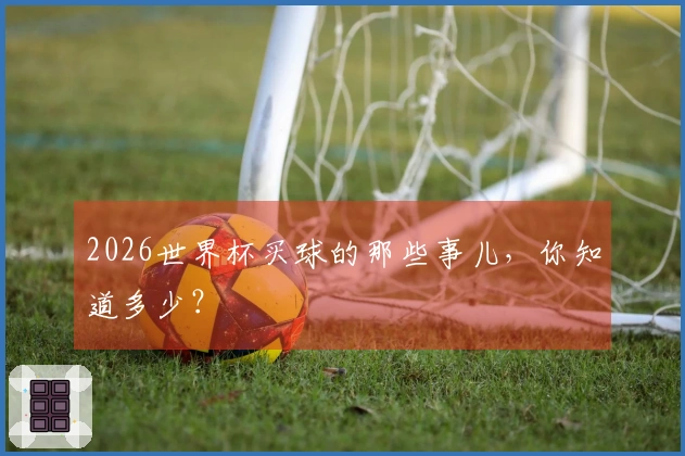 2026世界杯买球的那些事儿，你知道多少？
