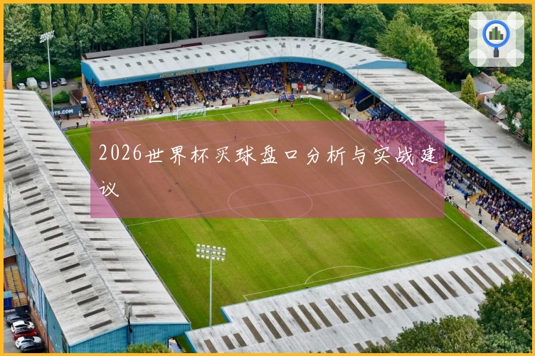 2026世界杯买球盘口分析与实战建议