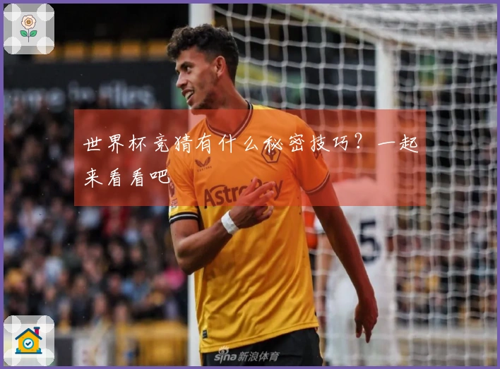 世界杯竞猜有什么秘密技巧？一起来看看吧