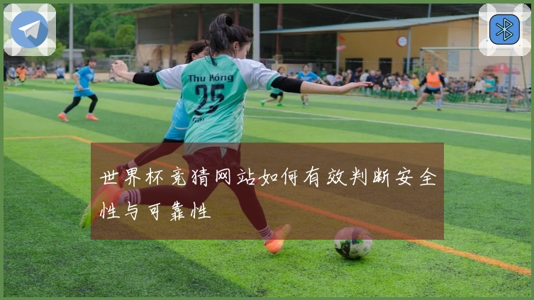 世界杯竞猜网站如何有效判断安全性与可靠性