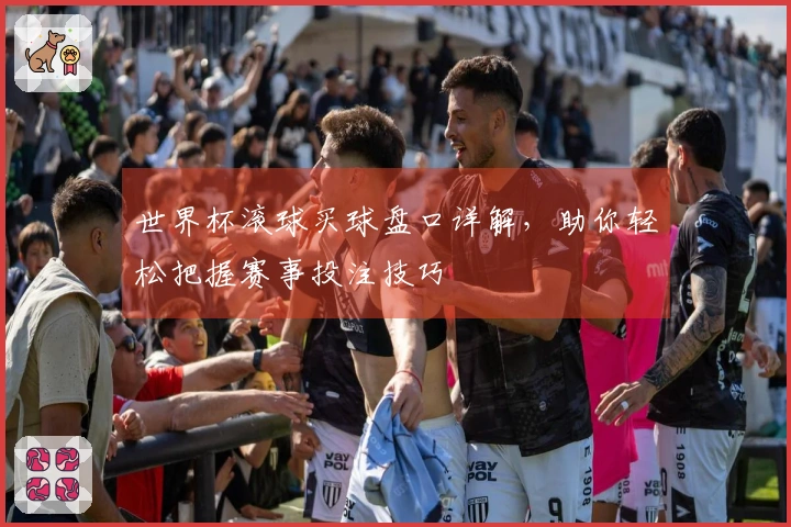 世界杯滚球买球盘口详解，助你轻松把握赛事投注技巧