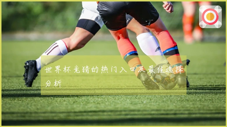 世界杯竞猜的热门入口及最佳选择分析
