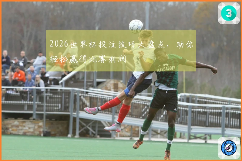 2026世界杯投注技巧大盘点，助你轻松赢得比赛利润