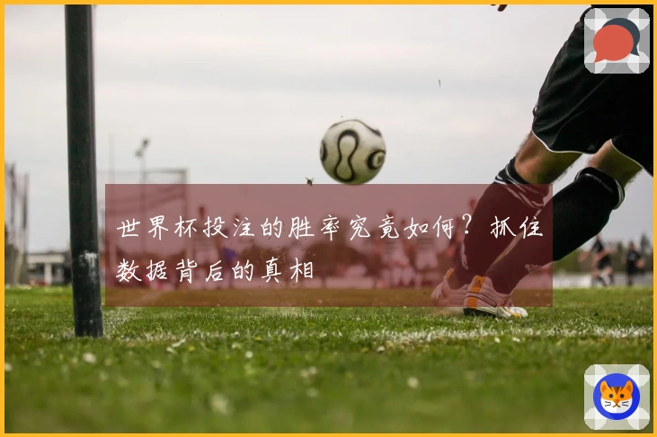 世界杯投注的胜率究竟如何？抓住数据背后的真相